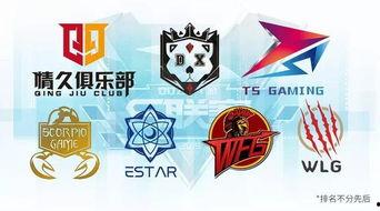 s联赛爆料最新,揭秘新赛季精彩看点与神秘转会动态